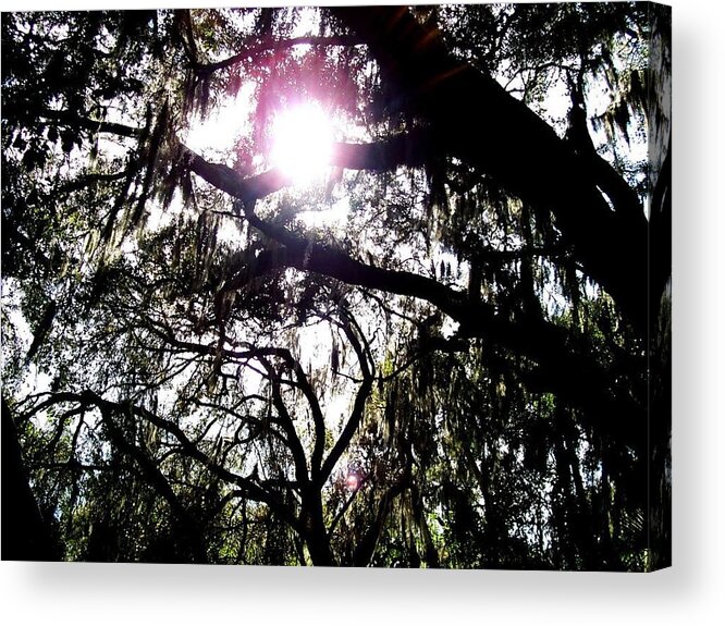 Florida Acrylic Print featuring the photograph Shine Bright by Lindsey Floyd