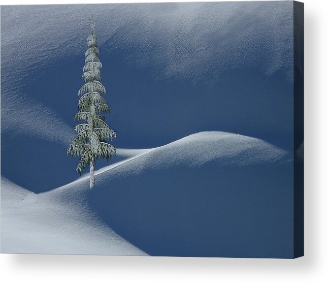 Tree Acrylic Print featuring the photograph Snow Covered Tree and Mountains Color by David Dehner