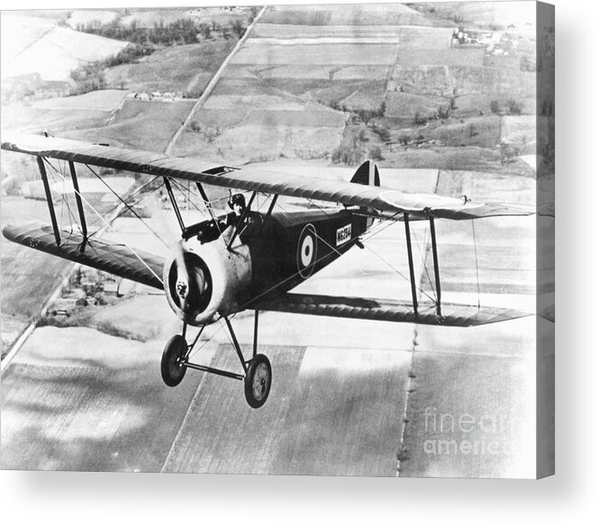 People Acrylic Print featuring the photograph Sopwith Camel In Flight by Bettmann