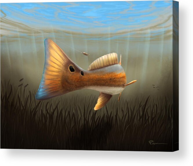 Redfish Acrylic Print featuring the digital art Spoon Fed by Kevin Putman