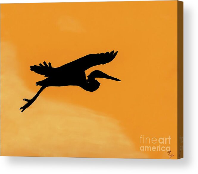 Heron Acrylic Print featuring the drawing Sunset Flight by D Hackett
