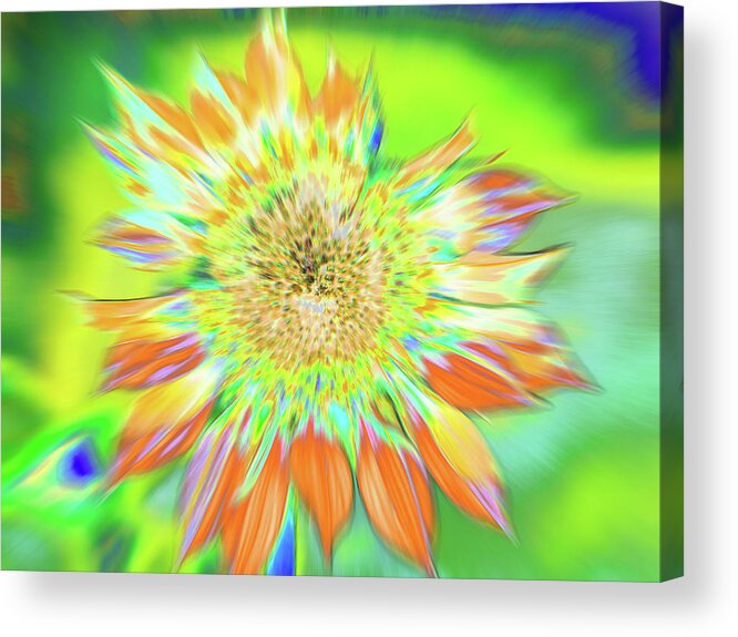 Sunflowers Acrylic Print featuring the photograph Sunwaves by Cris Fulton