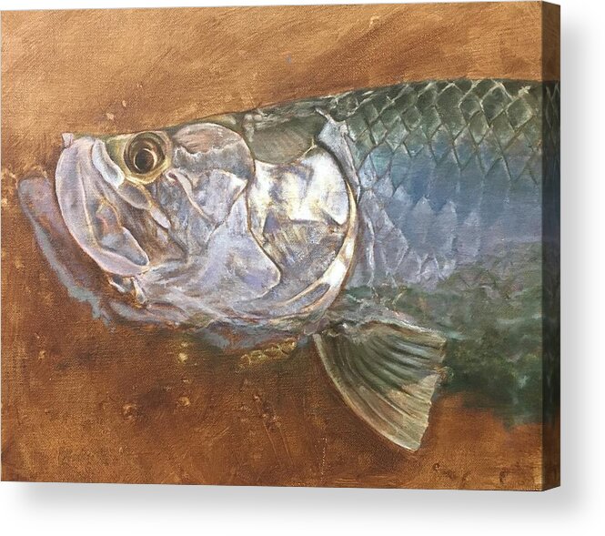 Tarpon Acrylic Print featuring the painting Tarpon on Umber by Pam Talley