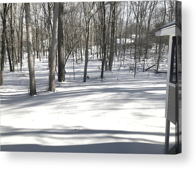 Winter Acrylic Print featuring the photograph The Calm After the Storm by Lisa Pearlman