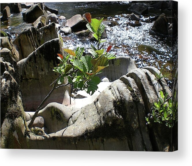 Wate Acrylic Print featuring the photograph The power of water by Martin Smith
