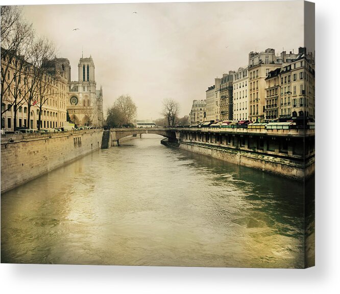Built Structure Acrylic Print featuring the photograph The River Seine And Saint-michel Bridge by Elizabeth Fernandez