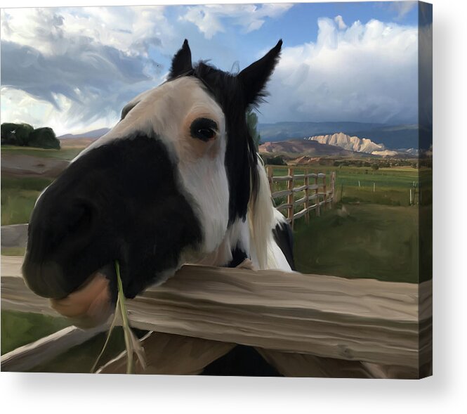 Horse Acrylic Print featuring the mixed media Torrey Horse #1 by Jonathan Thompson