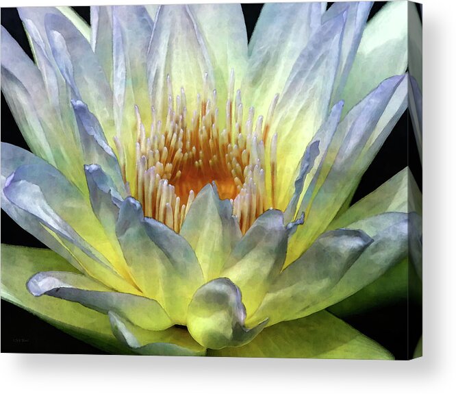 Impressionist Acrylic Print featuring the photograph Touch of Lemon 4504 IDP_2 by Steven Ward