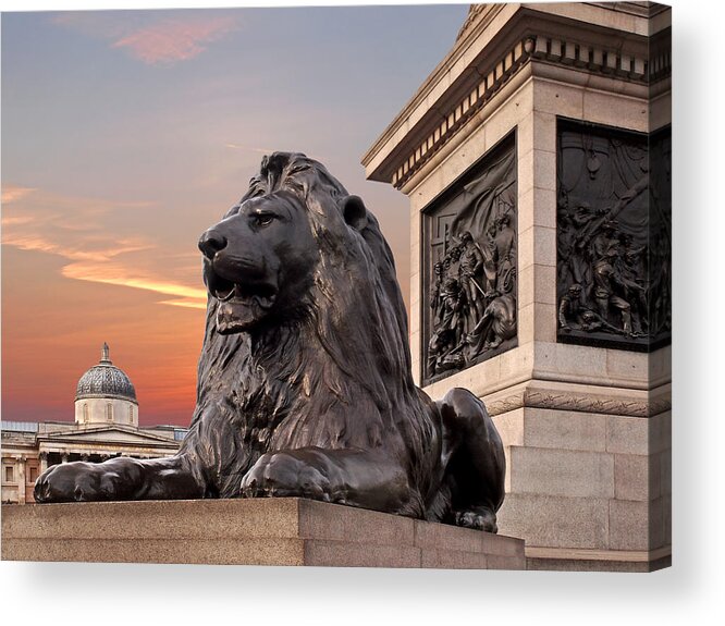 London Acrylic Print featuring the photograph Trafalgar Square Lion Nelsons Column And National Gallery by Gill Billington