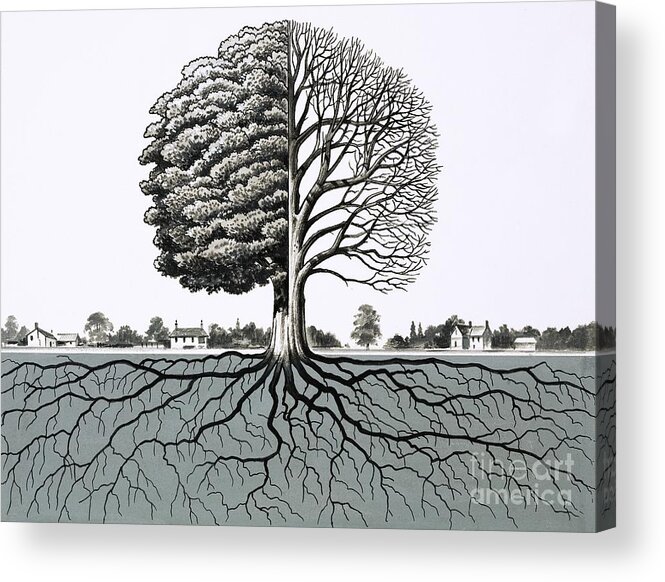 Tree without leaves graphic dead plant black white isolated sketch  illustration vector Stock Vector Image & Art - Alamy