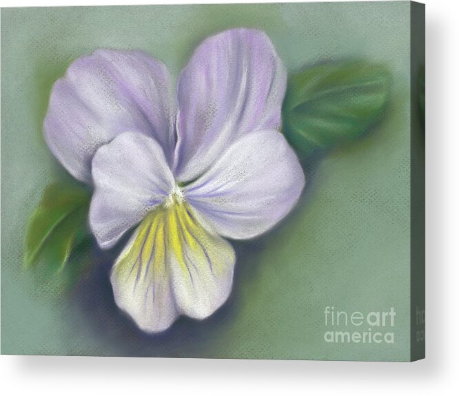 Botanical Acrylic Print featuring the painting Viola Purple and Yellow by MM Anderson