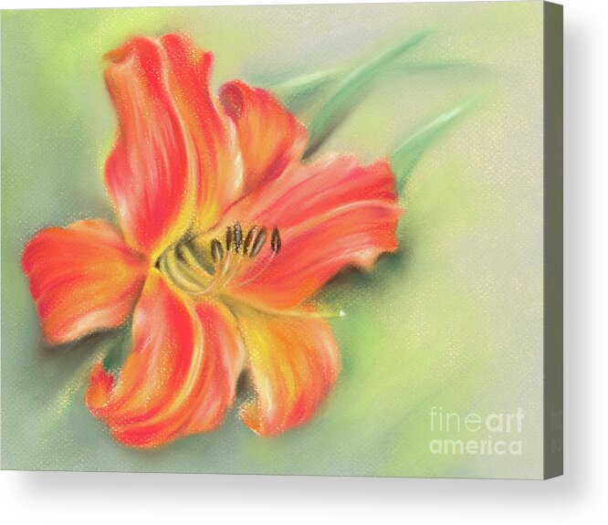 Botanical Acrylic Print featuring the painting Vivid Orange Daylily by MM Anderson