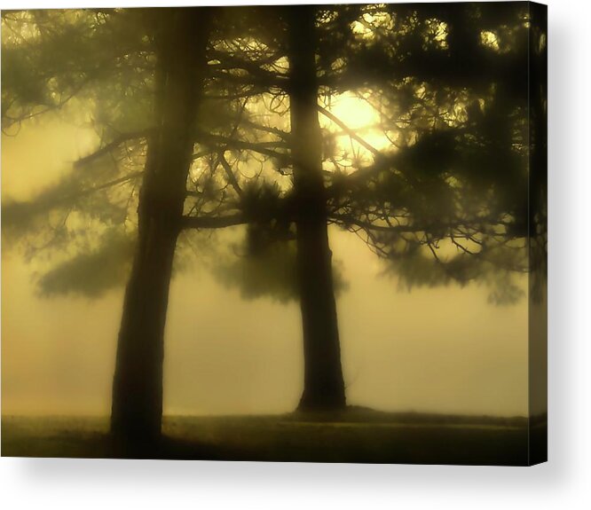  Acrylic Print featuring the photograph Waking From a Dream by Jack Wilson