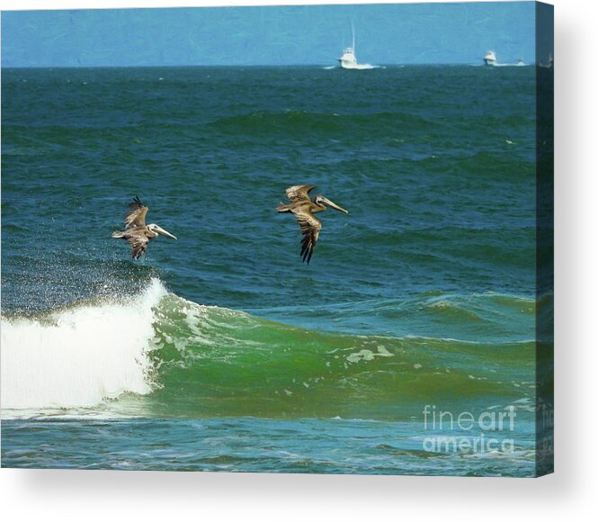 Pelicans Acrylic Print featuring the photograph Wave Runners by Scott Cameron