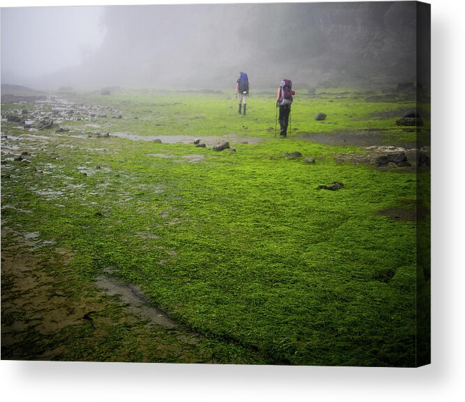 West Acrylic Print featuring the photograph West Coast Trail by Curtis Patterson