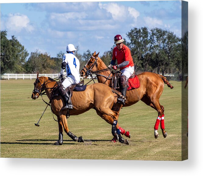 Polo Acrylic Print featuring the photograph Which way did the ball go? by L Bosco