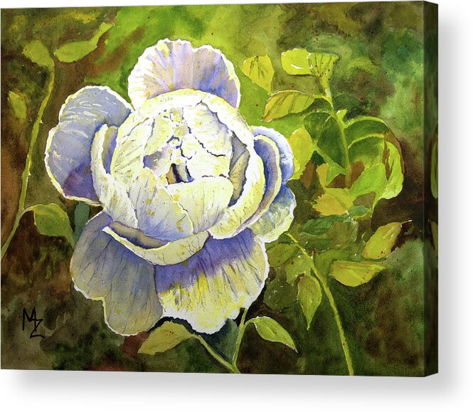 White Rose Acrylic Print featuring the painting White Rose by Margaret Zabor