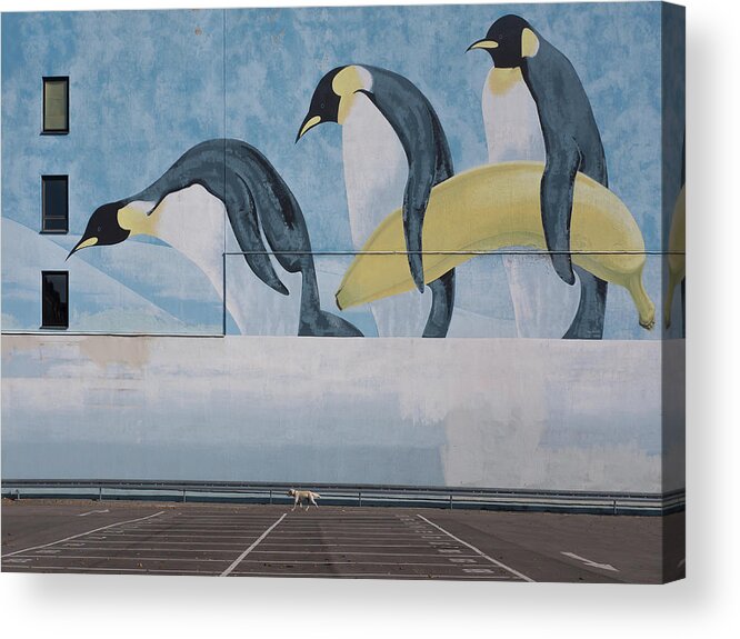 Parking Acrylic Print featuring the photograph Wildlife by Klaus Lenzen