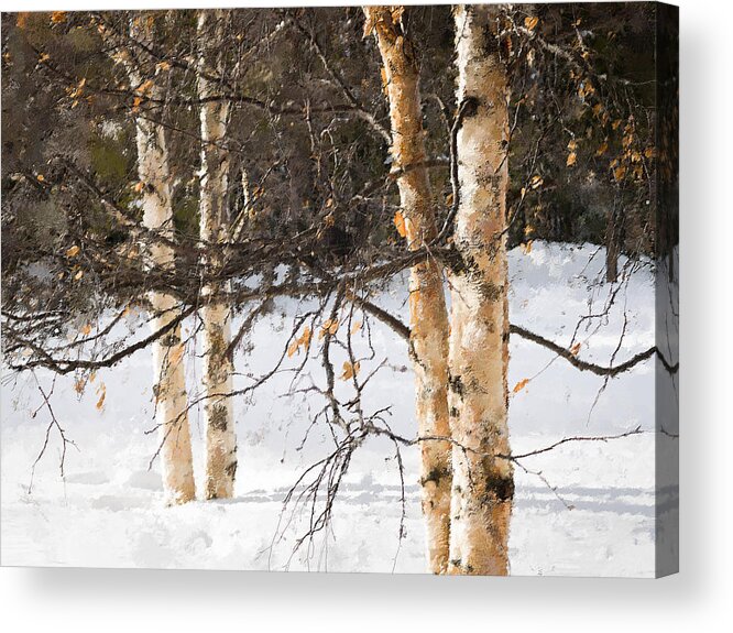 Winter Acrylic Print featuring the photograph Winter in Canada by Alexander Fedin