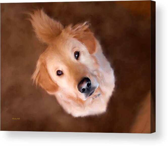 Golden Retriever Acrylic Print featuring the painting Wishful Thinking by Christina Rollo