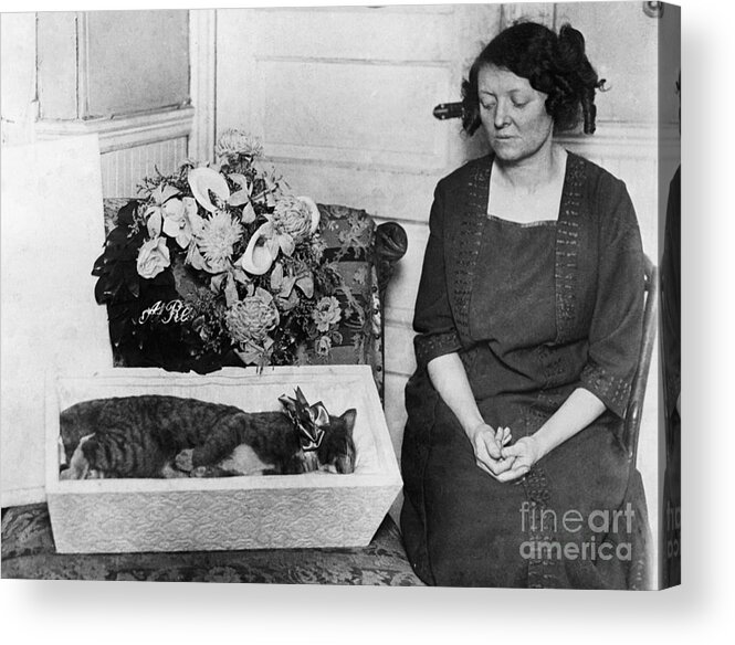 Pets Acrylic Print featuring the photograph Woman Mourns By Her Dead Cat In Coffin by Bettmann