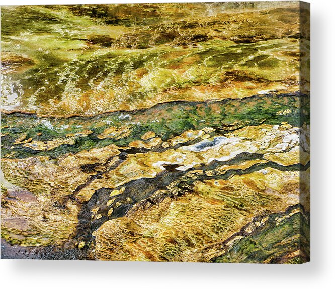 Abstract Acrylic Print featuring the photograph Yellowstone 2 by Segura Shaw Photography