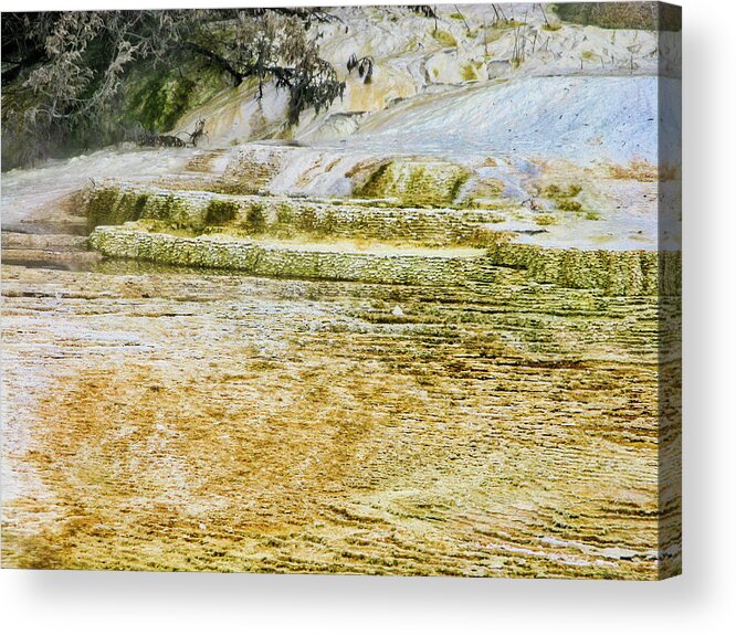 National Parks And Monuments Acrylic Print featuring the photograph Yellowstone 4 by Segura Shaw Photography
