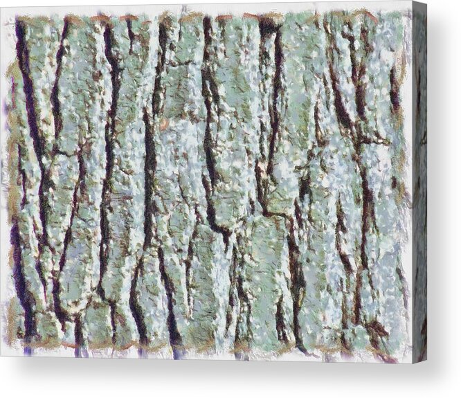 Bark Acrylic Print featuring the mixed media Bark Texture by Christopher Reed