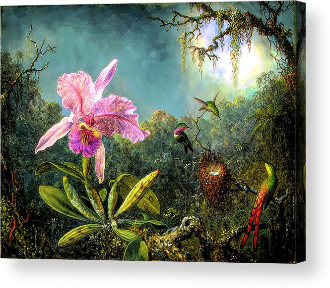 Cattleya Orchid And Three Brazilian Hummingbirds Acrylic Print featuring the painting Cattleya Orchid and Three Brazilian Hummingbirds by Martin Johnson Heade