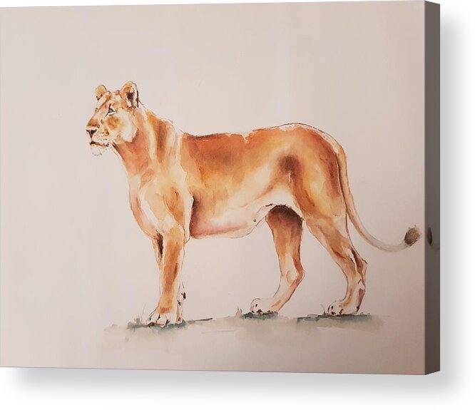 Cat Acrylic Print featuring the painting Lioness #1 by Ilona Petzer