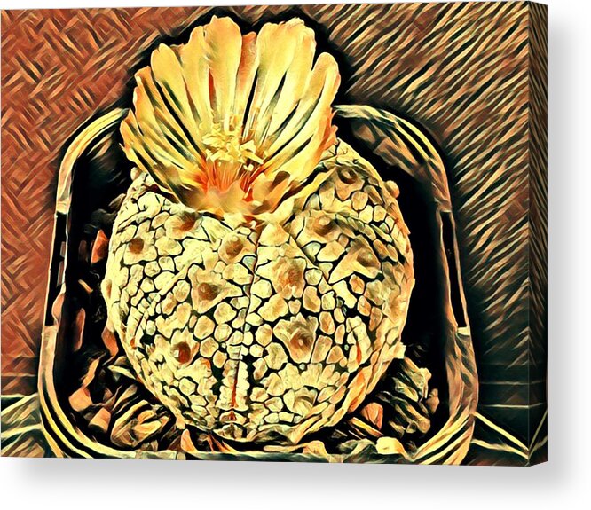 Cactus Acrylic Print featuring the digital art SB Cactus Flower 0004D08 #1 by Selena Boron