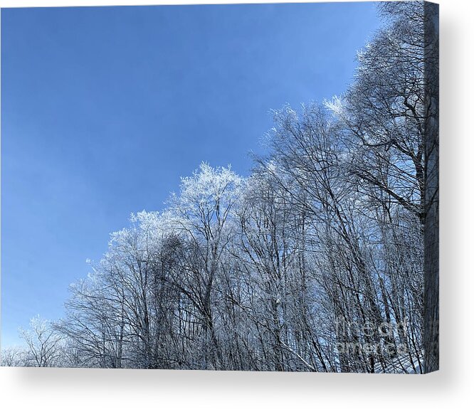  Acrylic Print featuring the photograph Winter wonderland by Annamaria Frost