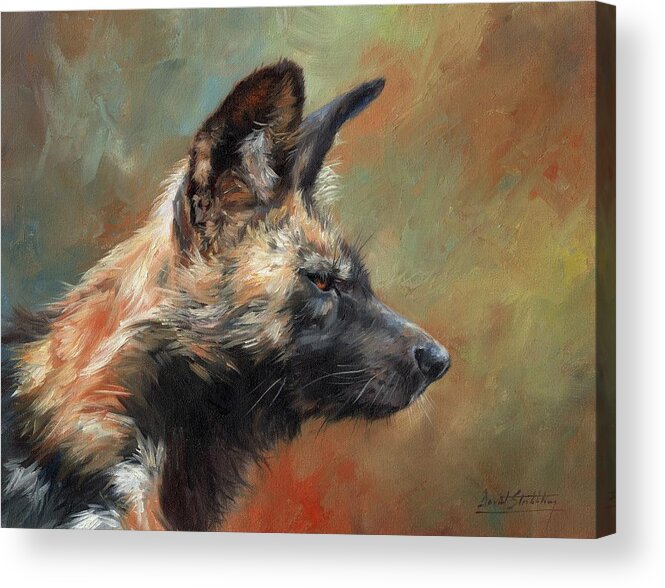 Wild Dog Acrylic Print featuring the painting African Wild Dog #2 by David Stribbling