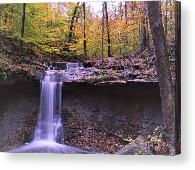  Acrylic Print featuring the photograph Blue Hen Falls by Brad Nellis