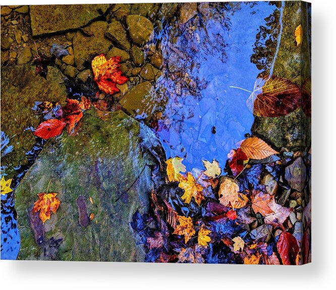  Acrylic Print featuring the photograph Fall Leaves by Brad Nellis