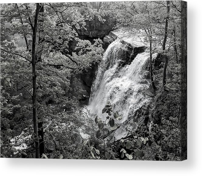  Acrylic Print featuring the photograph Brandywine Falls by Brad Nellis