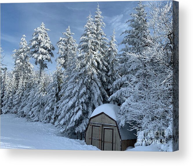  Acrylic Print featuring the photograph Winter Wonderland by Annamaria Frost