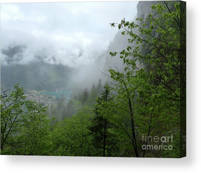 Mist Acrylic Print featuring the photograph A rainy day in the forest - Molveno - Italy by Phil Banks