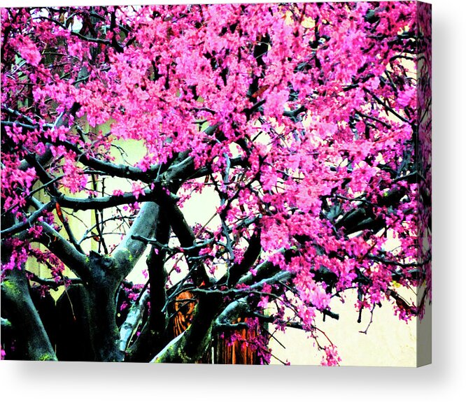 Tree Acrylic Print featuring the digital art A Very Pink Tree by Eric Forster