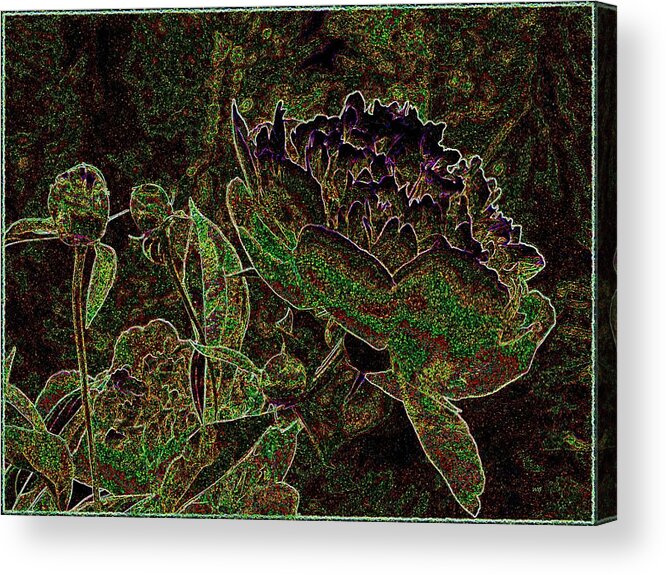 Peony Acrylic Print featuring the mixed media Abstract Peony And Buds by Will Borden