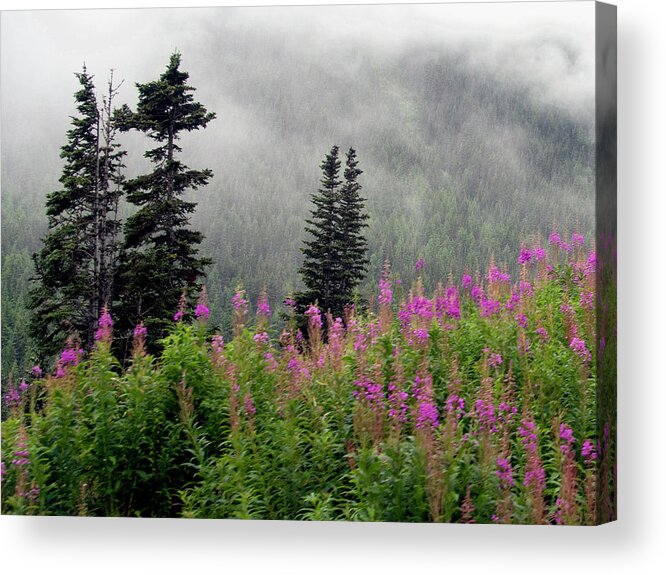 Skagway Acrylic Print featuring the photograph Alaska Pines and Wildflowers by Karen Zuk Rosenblatt