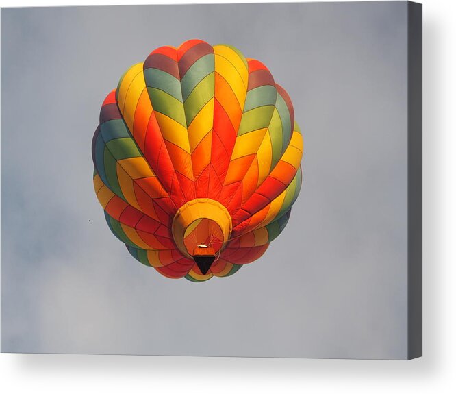 Albuquerque Acrylic Print featuring the photograph Albuquerque International Balloon Fiesta 4 by L Bosco