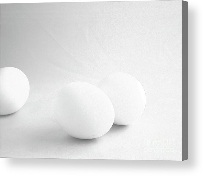 Eggs Acrylic Print featuring the photograph Almost a Trio by Kae Cheatham