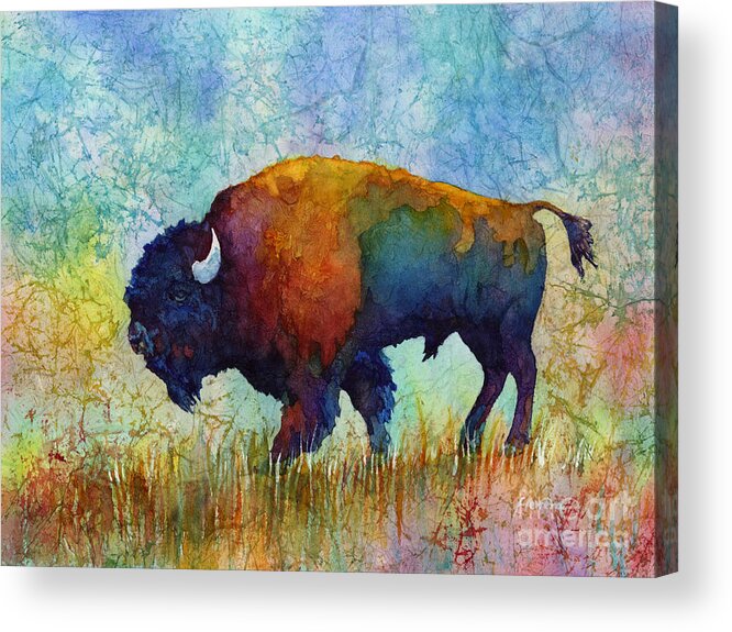 Bison Acrylic Print featuring the painting American Buffalo 5 by Hailey E Herrera