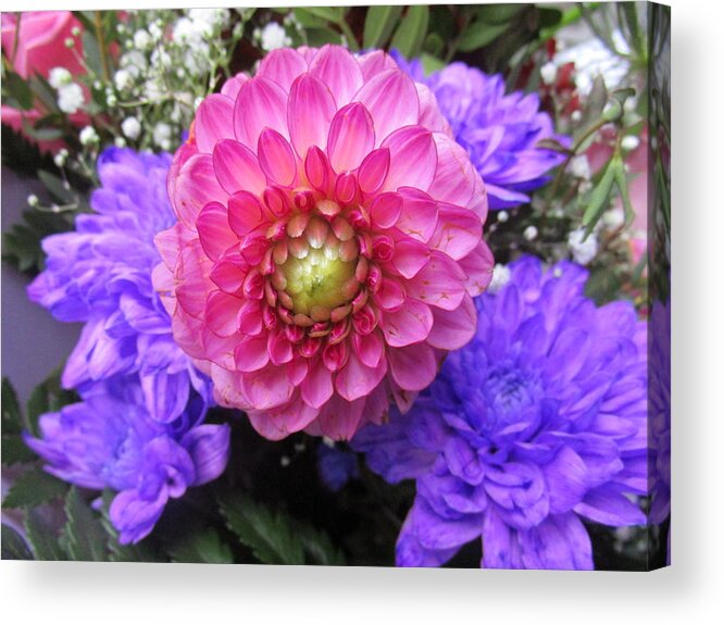 Daisy Acrylic Print featuring the photograph Amongst blue by Rosita Larsson