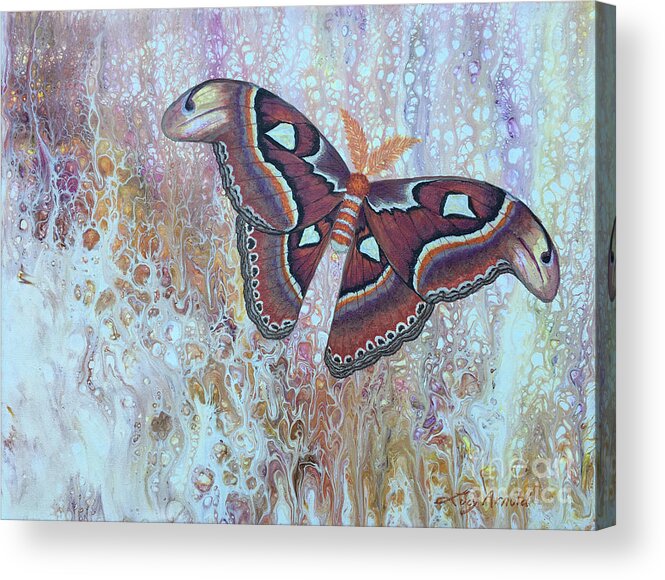 Moth Acrylic Print featuring the painting Atlas Silk Moth by Lucy Arnold