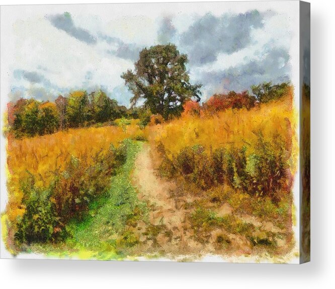 Field Acrylic Print featuring the mixed media Autumn Afternoon on the Trail by Christopher Reed