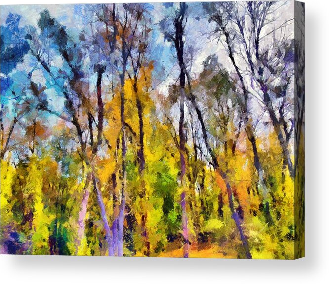 Trees Acrylic Print featuring the mixed media Autumn in the Park by Christopher Reed