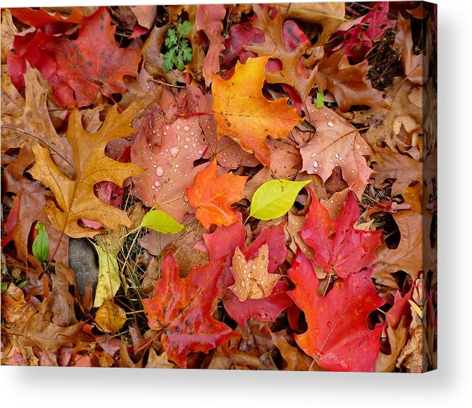 Fall Acrylic Print featuring the photograph Autumn Leaves Underfoot by Lyuba Filatova