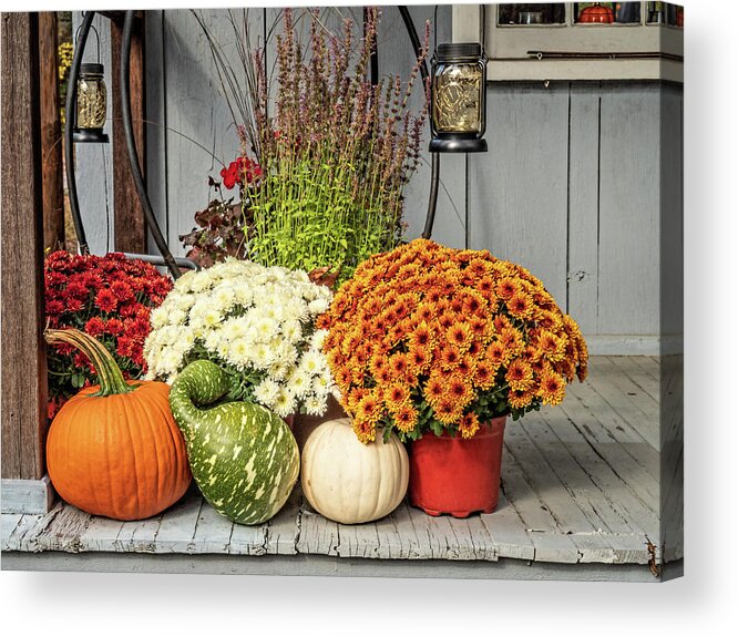 Pumpkin Acrylic Print featuring the photograph Autumn Mums and Gourds at Whitesbog by Kristia Adams